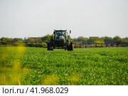 tractor with the help of a sprayer sprays liquid fertilizers on young wheat in the field. Стоковое фото, фотограф Леонид Еремейчук / Фотобанк Лори