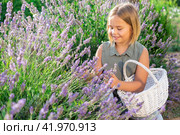 Little girl beside lavender shrub. Стоковое фото, фотограф Яков Филимонов / Фотобанк Лори