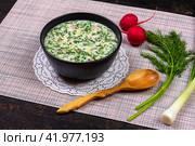 Russian summer cold soup okroshka of greens, vegetables, kvass and kefir, fresh radish and a bunch of dill on the table. Стоковое фото, фотограф Андрей С / Фотобанк Лори