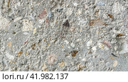 inclusions of granite chips in concrete, the texture of concrete, horizontal design on cement and concrete texture for pattern and background. Стоковое фото, фотограф Скрипачев Антон / Фотобанк Лори