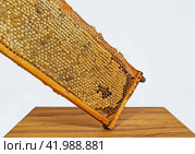 Соты в деревянной рамке полные мёда, запечатанные воском, предназначенные для сбора мёда. Honeycombs in a wooden frame full of honey, sealed with wax, intended for collecting honey. Стоковое фото, фотограф Наталья Пеньшина / Фотобанк Лори