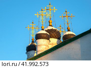 Купола старинного Успенского собора. Александров (Александровская слобода). Владимирская область (2024 год). Стоковое фото, фотограф Анна Карасева / Фотобанк Лори