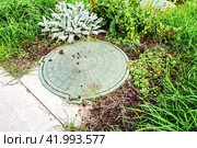 Covered sewer manhole with green plastic cover, sewage system. Sewerage networks. Sanitary sewer system manhole cover. Стоковое фото, фотограф FotograFF / Фотобанк Лори