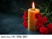 Горящая поминальная свеча и красные гвоздики. Место для текста. Стоковое AI-изображение, AI-художник Щеголева Ольга / Фотобанк Лори