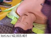 Close-up view of a CPR training mannequin used for demonstrating lifesaving techniques in a first aid course. Стоковое фото, фотограф Zakharova Natasha / Фотобанк Лори