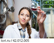 Professional checks the wine at factory in France. Стоковое фото, фотограф Татьяна Яцевич / Фотобанк Лори