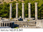 Athena temple in Priene, Turkey. Стоковое фото, фотограф Яков Филимонов / Фотобанк Лори