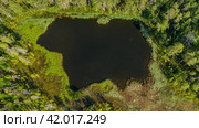 таежное озеро с обликом медведя. Стоковое фото, фотограф Данил Хусаинов / Фотобанк Лори