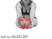 Pain in woman's legs, massage of female feet isolated on white background. Стоковое фото, фотограф Станислав Тарко / Фотобанк Лори