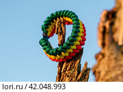 Paracord bracelet. Стоковое фото, фотограф Артем Лукин / Фотобанк Лори