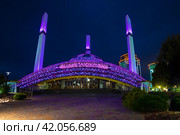 Мечеть "Сердце матери" в сиреневой подсветке сентябрьской ночью. Аргун, Чечня (2021 год). Редакционное фото, фотограф Виктор Карасев / Фотобанк Лори
