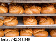 Traditional israeli bread hala on the shelves. Стоковое фото, фотограф Георгий Дзюра / Фотобанк Лори