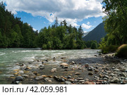 View of the confluence of the Kyzgych and Psysh rivers forming the Bolshoy Zelenchuk River in the northern foothills of the Caucasus Mountains on a summer day, Arkhyz, Karachay-Cherkessia, Russia. Стоковое фото, фотограф Ula Ulachka / Фотобанк Лори