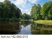 View of the Central Rosovopavilionny pond in the landscape part of the Pavlovsky Park Parade Field on a sunny summer day, Pavlovsk, St. Petersburg, Russia. Стоковое фото, фотограф Ula Ulachka / Фотобанк Лори