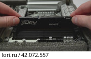 Пальцы человека ставят модуль оперативной памяти Kingston Fury в специальный слот на материнской плате (2024 год). Редакционное видео, видеограф Sergei Gorin / Фотобанк Лори
