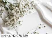 white paper template and pictures of white apsara flowers on a white table. Стоковое AI-изображение, AI-художник Юлия Гапеенко / Фотобанк Лори
