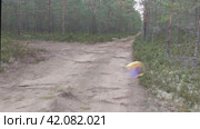 Большие мыльные пузыри над лесной дорогой. Над песчаной дорогой, по краям которой растут молодые сосны, летают несколько крупных мыльных пузырей. Пролетев некоторое время в воздухе, пузыри лопнули. Стоковое видео, видеограф Andrew_Swarga / Фотобанк Лори