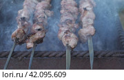 Куски мяса жарятся на гриле. От углей поднимается белый дым. Шашлык - традиционное кавказское блюдо. Крупный план. Стоковое видео, видеограф Воловодов Владимир / Фотобанк Лори