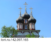 Храм Ризоположения на Донской. Донская улица, 20/6, строение 1. Москва (2011 год). Стоковое фото, фотограф lana1501 / Фотобанк Лори