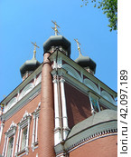 Храм Ризоположения на Донской. Донская улица, 20/6, строение 1. Москва (2011 год). Стоковое фото, фотограф lana1501 / Фотобанк Лори