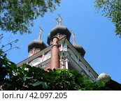 Храм Ризоположения на Донской. Донская улица, 20/6, строение 1. Москва (2011 год). Стоковое фото, фотограф lana1501 / Фотобанк Лори
