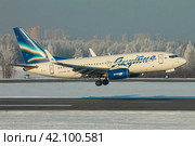 Самолет Boeing 737-700 авиакомпании Якутия заходит на посадку в аэропорту Пулково зимой, на фоне покрытого белым инеем леса (2019 год). Редакционное фото, фотограф Сергей Крамарев / Фотобанк Лори