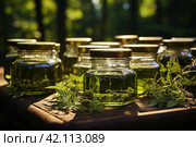 Glass jars with herbal tinctures. Стоковое AI-изображение, AI-художник Ирина Михайличенко / Фотобанк Лори