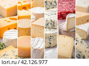 Collage of different types of cheese with vertical dividers. Стоковое AI-изображение, AI-художник Юрий Поздников / Фотобанк Лори