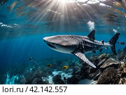 Whale shark (Rhincodon typus) mammal swimming in tropical underwaters. Shark in underwater wild animal world. Observation of wildlife ocean. Scuba diving adventure in Ecuador coast. Copy text space. Стоковое AI-изображение, AI-художник Aleksandr Golubev / Фотобанк Лори