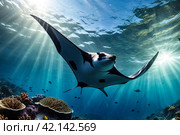 Manta Mobula (Mobulidae) cartilaginous fish swimming in tropical underwaters. Manta in underwater wild animal world. Observation of wildlife ocean. Scuba diving adventure in Ecuador coast. Стоковое AI-изображение, AI-художник Aleksandr Golubev / Фотобанк Лори