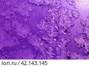 Узоры мороза на стекле окна (фиолетовый фон) Стоковое фото, фотограф E. O. / Фотобанк Лори