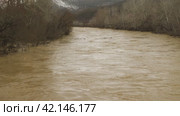 View from bridge on muddy river during flooding. Tree trunks floating down the river. In the background of the mountain with remnants of snow. Natural disasters, extreme weather. A weather disaster. Стоковое видео, видеограф Воловодов Владимир / Фотобанк Лори