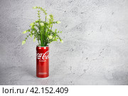Жестяная красная банка из под Coca-Cola с торчащей из неё зелёной травой, натюрморт на сером фоне - Санкт-Петербург, Россия, Февраль 2024. Редакционное фото, фотограф Мария L. / Фотобанк Лори
