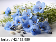Flower forget-me-not blossom on a white background,Generative AI. Стоковое AI-изображение, AI-художник Анна Кривицкая / Фотобанк Лори