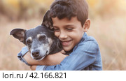 A child affectionately hugs his blue heeler pet dog. With large copyspace area. Стоковое AI-изображение, AI-художник Юлия Гапеенко / Фотобанк Лори