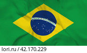 Развевающийся флаг Бразилия, бесшовная анимация в 4к. Waving flag of Brazil. 3d seamless animation in 4k resolution video. Стоковая анимация, аниматор Александр Кузнецов / Фотобанк Лори