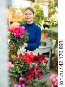 Woman buying ranunculus asiatica at flower shop. Стоковое фото, фотограф Яков Филимонов / Фотобанк Лори