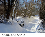 Солнечный день зимой. Городской парк покрыт снегом. Голубь сидит на скамейке в парке, окруженный большими сугробами. Столбово. Коммунарка. Москва. Россия (2024 год). Редакционное фото, фотограф Мария Фетисова / Фотобанк Лори