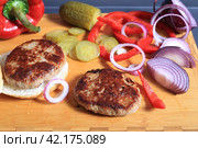 Fried cutlet for burger with vegetables. Стоковое фото, фотограф Яна Королёва / Фотобанк Лори