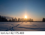 Снег искрится на заснеженном футбольном поле зимним вечером. Стоковое фото, фотограф Евгений Горбунов / Фотобанк Лори