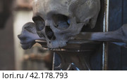 Sacred Bone Repository: Skulls Adorned in Gothic Fashion. Стоковое видео, видеограф Даниил Хабаров / Фотобанк Лори