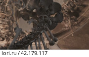 Sedlec, Kutna Hora, Czech Republic - October 17, 2018. Historic Ossuary Artifacts: Skulls in Sepulchral Decor. Стоковое видео, видеограф Даниил Хабаров / Фотобанк Лори