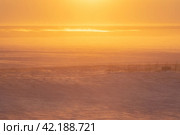 Winter arctic landscape. Morning aerial view of the snowy tundra. A frozen sea in the distance. Beautiful golden light at sunrise. Cold windy and frosty weather. Chukotka, Siberia, Far North of Russia. Стоковое фото, фотограф Андрей Степанов / Фотобанк Лори
