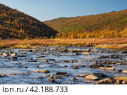 Autumn landscape. View of the river valley among the mountains. Stony shallow river against the backdrop of hills. Beautiful northern nature. Travel and hiking in the wild. Magadan region, Russia. Стоковое фото, фотограф Андрей Степанов / Фотобанк Лори