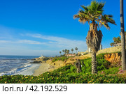 Ocean with coastline, beach and palm trees (2020 год). Стоковое фото, фотограф Evgenii Predibailo / Фотобанк Лори