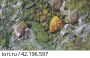 Video of water and stones of Altai river Bashkaus. The camera looks down. Стоковое видео, видеограф Сергей Пристяжнюк (Serg Zastavkin) / Фотобанк Лори