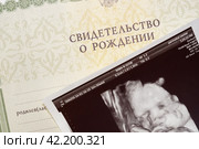 Свидетельство о рождении и фото ребенка с УЗИ. Стоковое фото, фотограф Евгения Золкина / Фотобанк Лори
