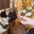 A pug dog sniffs a bagel in a woman's hands in close-up. Стоковое фото, фотограф Неведицына Елена / Фотобанк Лори