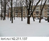 Пасмурный зимний день. Идет снег.Городской парк замело снегом.Рядом с жилым домом большие сугробы. Машины занесло снегом. Коммунарка. Москва. Россия. (2024 год). Редакционное фото, фотограф Мария Фетисова / Фотобанк Лори