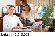 Irritated woman boss scolding manager for incompetence. Стоковое фото, фотограф Яков Филимонов / Фотобанк Лори